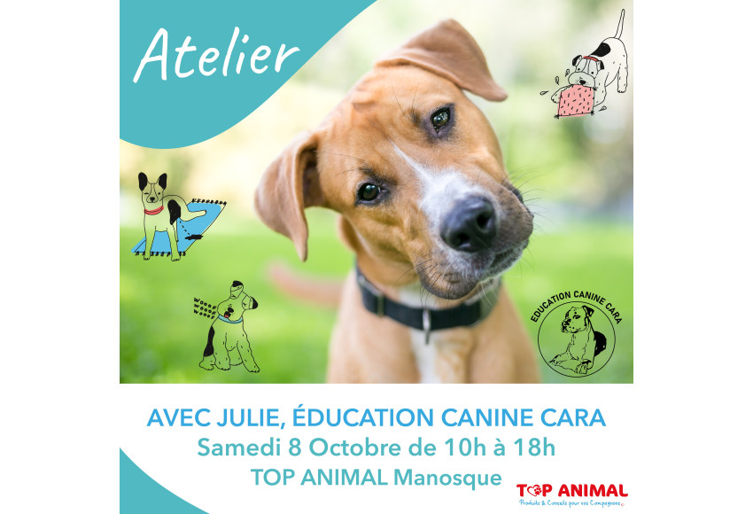 ATELIER avec JULIE, EDUCATION CANINE CARA